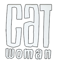 Dc Direct Catwoman Sixth-Scale Action-Figure