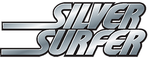 Marvel Universe 3.75-inch Silver Surfer Action Figure